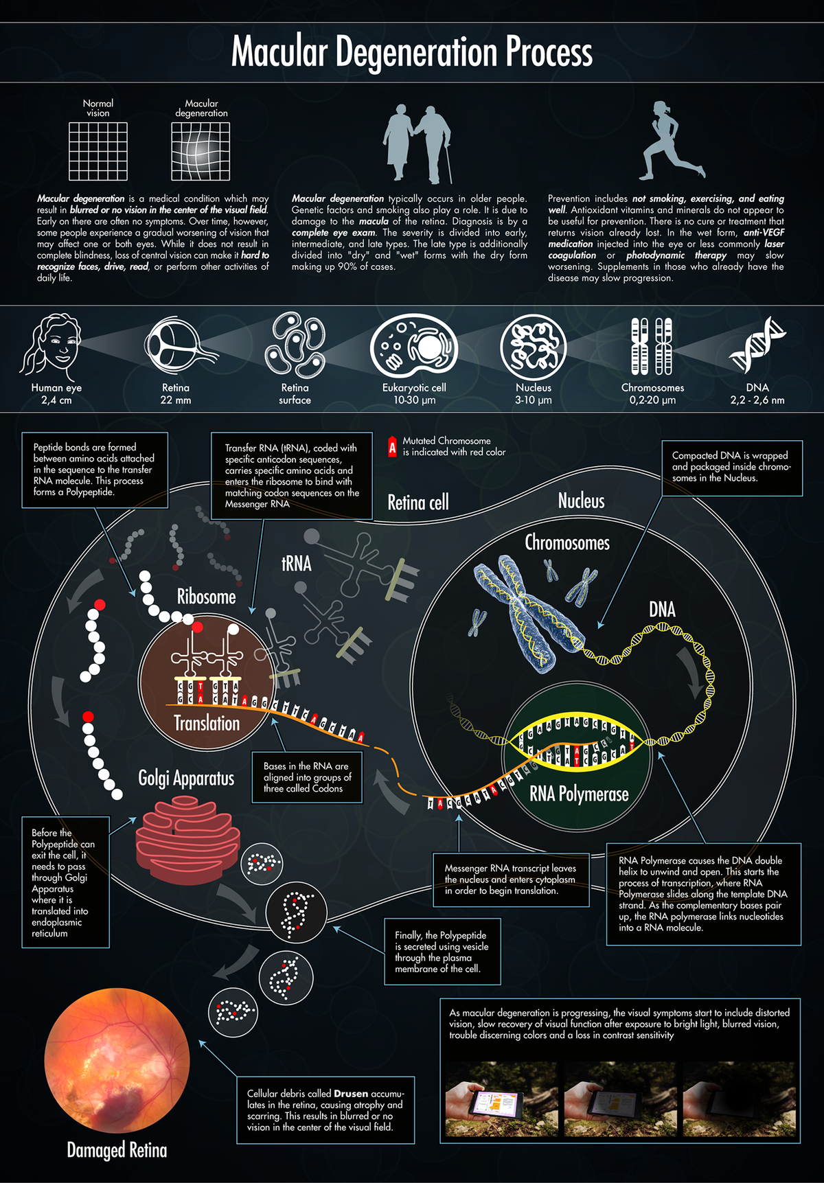 2011 - Eye Clinic Infographics